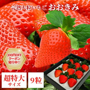 yyVX[p[SALE N[|sz嗱 y {茧Y  TCY 9 z380gȏ(140gȏ)  l bZ[WJ[hΉ C`S  嗱  x Mtg