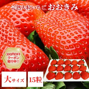 y320N[|sz{茧Y y {茧Y  TCY 15 z380gȏ(123`29g)  l bZ[WJ[hΉ C`S  嗱  x Mtg 蕨 