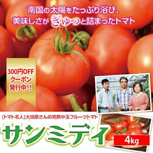 ʃg}g T~fB 4kg {茧Ynʃt[cg}g ZȃRNƎ|ȂɂȂYn̍g}gIMtg②iɂ߂łB