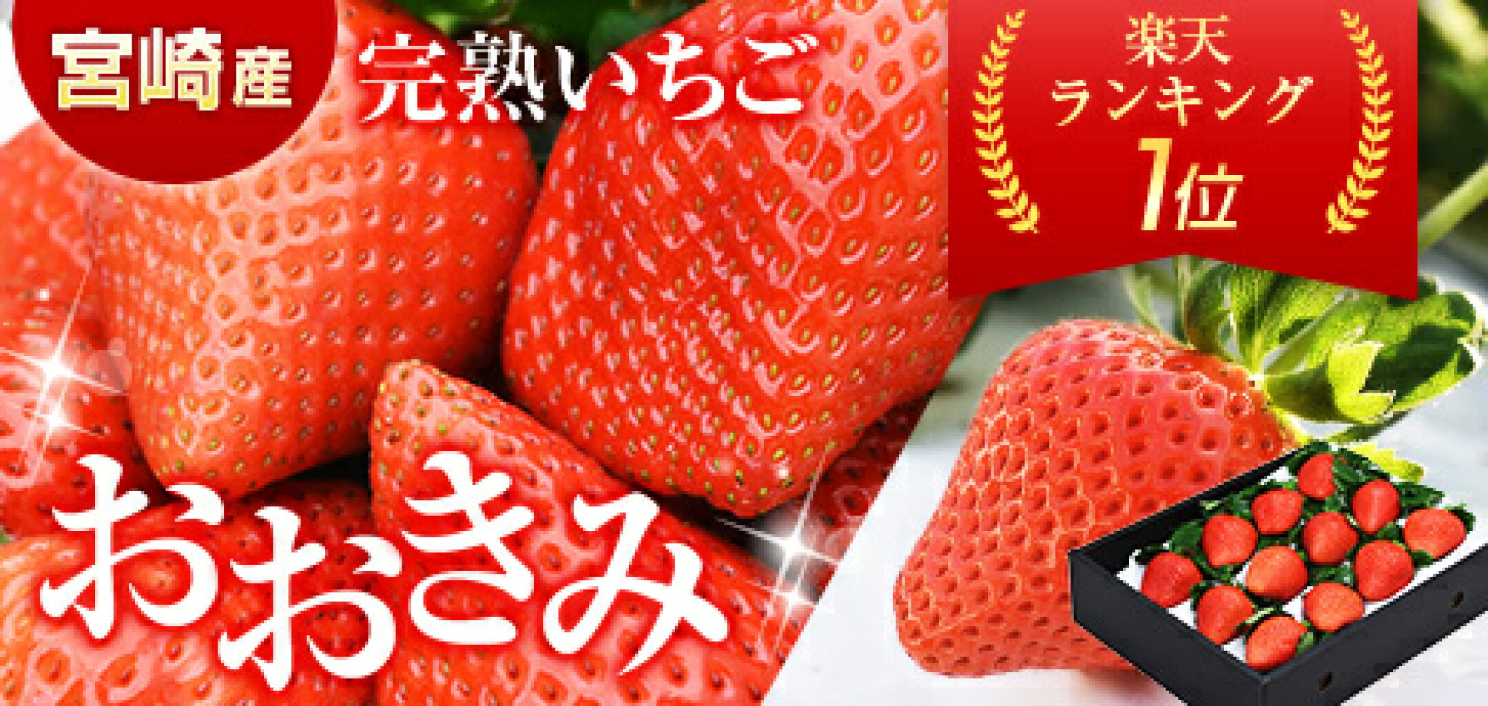 宮崎県産 大粒いちご「おおきみ」