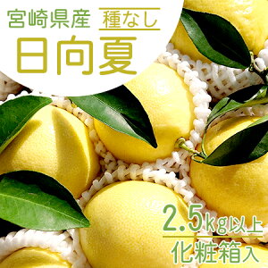 yߘa7N12{菇z{茧Y Ȃ 14/2.5kg Î_ς u₩ {茴Y̊󏭂ȃt[c fR| |J ȂǊkDȕɂ ʖ j[T}[IW 