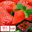 大粒 いちご 【 宮崎県産 おおきみ 特大サイズ 12粒 】380g以上(1粒あたり30〜39g) 送料無料 熨斗 メッセージカード対…