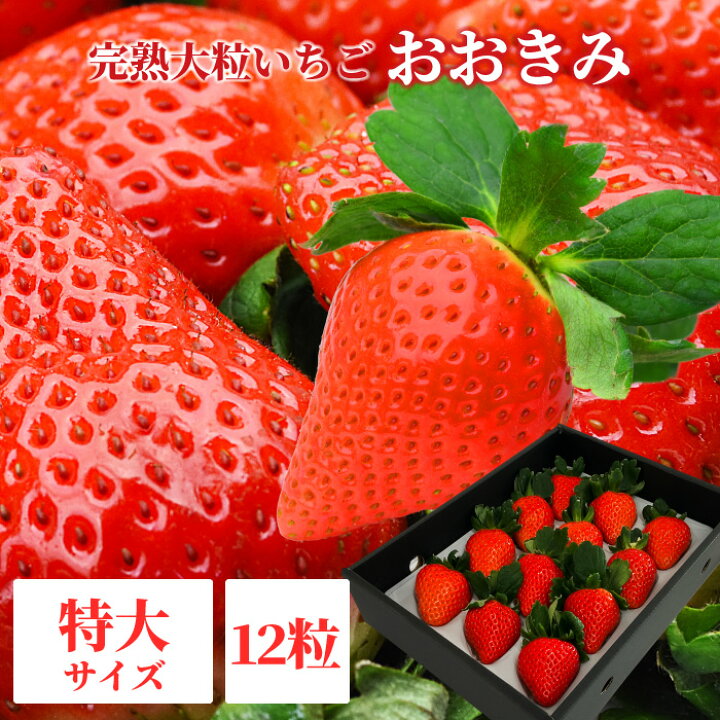 楽天市場 送料無料 おおきみ 特大サイズ 12粒 380g以上 1粒あたり30 39g いちご イチゴ 苺 大粒 高級 大きくて甘い フルーツ 果物 あまおう とちおとめ あまりん 紅ほっぺ よりも 大きい 宮崎産直 楽天市場店