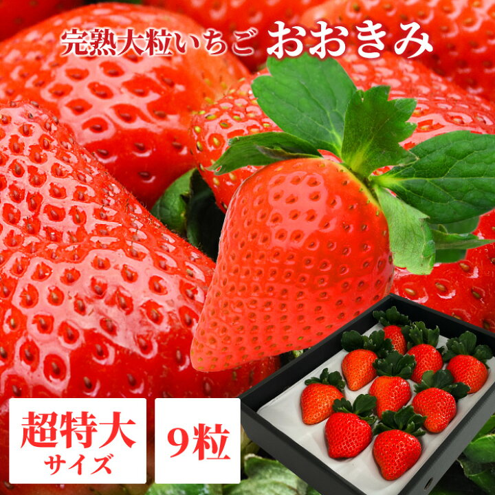 楽天市場】大粒 いちご【 宮崎県産 おおきみ 超特大サイズ 9粒 】380g 