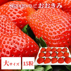 {茧Y y {茧Y  TCY 15 z380gȏ(123`29g)  l bZ[WJ[hΉ C`S  嗱  x Mtg 蕨  v[g 