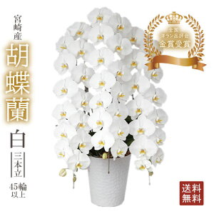 yӒ  3{ 45ֈȏzMtg  {Y JXj j  蕨 Ӓ m̔