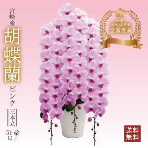 yӒ sN 3{ 51ֈȏzMtg  {Y JXj j  蕨@Ӓ m̔