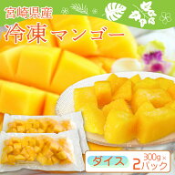 宮崎県産 冷凍 マンゴー ダイスカット 300g×2パック 計600g フルーツ ギフト プレゼント お中元 女性 誕…