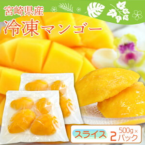 {茧Y Ⓚ }S[ XCXJbg 500g×2pbN v1kg