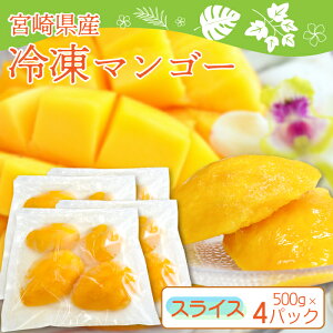 {茧Y Ⓚ }S[ XCXJbg 500g×4pbN v2kg