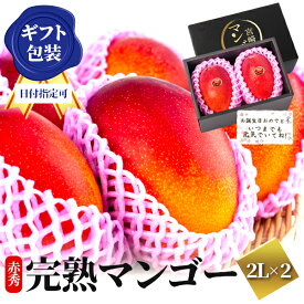 【日時指定可】宮崎 完熟 マンゴー【秀品-極上玉（赤秀）】 大サイズ 350g 〜 449g ×2玉 果物 フルーツ ギフト プレゼント 女性 誕生日 還暦祝い 古希祝い 退職祝い 新築祝い 結婚祝い お供え 宮崎産直