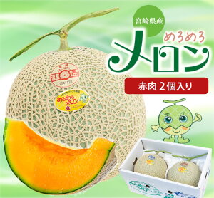 �y2025�N12�����{�ȍ~���������z�y�{�茧���юs�Y �߂�߂냁���� �ԓ�2����z�F���ł܂�₩�ȊÂ݂ƍ��� �����͔|�̍��荂�������� ���j����t���[�c�M�t�g�ɂ������߂ł��� �M�t�g ��