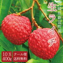 宮崎県産 生ライチ 〈もりのライチ 10玉 400g 入り〉【7月上旬順次発送予定】国産ライチ フルーツギフト プレゼント女…