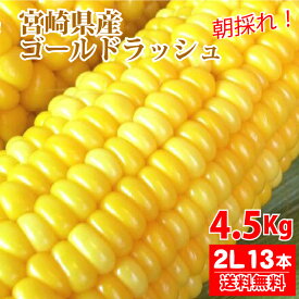 【予約販売2026年5月下旬発送】宮崎県産 朝採れ スイートコーン ゴールドラッシュ 4.5Kg（2Lサイズ約13本）