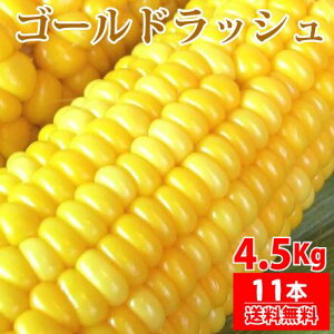 y\̔ 2026N5{ẑI {茧Y XC[gR[ S[hbV 4.5Kgi3LTCY11{j