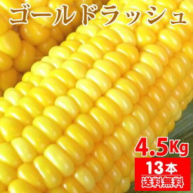 予約受付中 2024年 5月下旬発送開始 朝採れ！宮崎県産 スイートコーン ゴールドラッシュ 4.5Kg（2Lサイズ約13本）