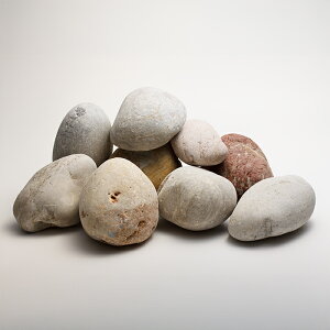 yzr[`Xg[ 24kg WFnʐ 10`20cm VR  bNK[f Ϗܐ ~ K[fbN hCK[f O\ ΍ R 