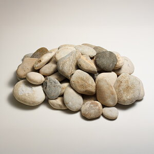 o[Xg[ 24kg ʐ5`15cm VR  bNK[f K[fbN ~ iϐ R O\ 