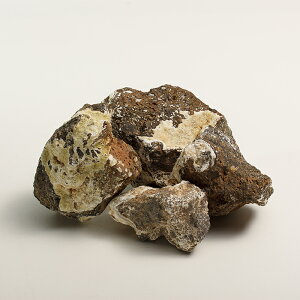 yTvzAeB[NXg[i2kgȓj 5`10cm n VR bNK[f  Ϗܐ ~ K[fbN hCK[f O\ ANAE  CAEg ΍ތ{