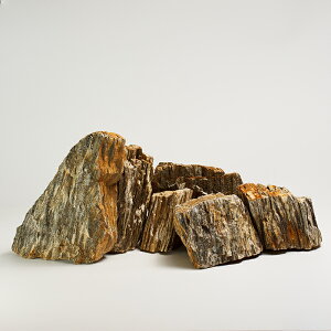 yzEbfXg[ 24kg w͗l VR n O[n bNK[f  Ϗܐ ~ K[fbN hCK[f O\ ΍ ANAE  CAEg  10`2