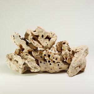 yz[Xg[ 24kg n x[Wn VR bNK[f  Ϗܐ ~ K[fbN hCK[f O\ ΍ ANAE  CAEg  ΊD 10`20cm