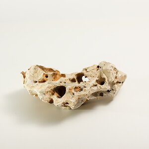 yTvz[Xg[i2kgȓj n x[Wn VR bNK[f  Ϗܐ ~ K[fbN hCK[f O\ ΍ ANAE  CAEg ΊD 