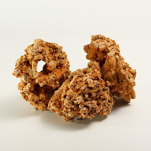 yTvzbhXpQbeBi2 kgȓj ΊD VR Ԓn x[Wn y Ǝ bNK[f  Ϗܐ hCK[f O\ ΍ ANAE  CAEg ΍