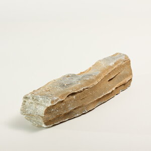 yTvzeIi2 kgȓj ΊD VR w ┧ DFn n bNK[f  Ϗܐ ~ K[fbN hCK[f O\ ΍ ANAE  CAEg 