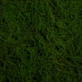 フェイク苔マット 100cm×100cm 大判 人工苔 芝生風 苔庭 壁面緑化 インテリア装飾 背景資材 お買い得 在庫限り サンプル入荷品