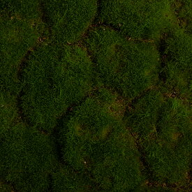 フェイク苔マット 50cm×50cm 厚み4cm 高密度 人工苔 芝生 苔庭 テラリウム 壁面緑化 インテリア装飾 背景資材 お買い得 在庫限り サンプル入荷品