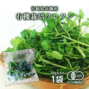 �{�茧����Y�L�@�͔|�N���\���p�b�L���O�i30g����j