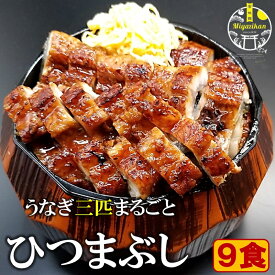 うなぎ まるごと三匹 ひつまぶし 9食 無添加 冷凍 母の日 ギフト のし対応 化粧箱入り 国産 鹿児島県産 特大 日本うなぎ 鰻 ウナギ 鰻丼 うな丼 鰻重 うな重 せいろ蒸し セイロ蒸し お茶漬け 茶漬け 冷やし茶漬け 薬味付きプレゼント ご贈答 送料無料