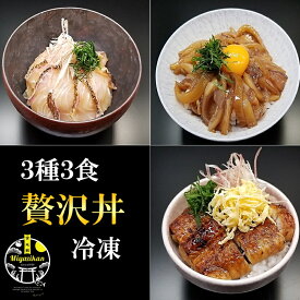 贅沢丼 3種3食 無添加 冷凍 大盛り のし対応 母の日 ギフト 化粧箱入り 玄界灘 魚使用 鯛茶漬け ひつまぶし ヤリイカ丼 たい 鯛 真鯛 うなぎ ウナギ 鰻 やりいか いか イカ 烏賊 鯛丼 鯛めし 蒲焼 沖漬け お茶漬け 茶漬け プレゼント 送料無料