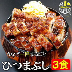 スーパーsale 20％OFF 特大うなぎ まるごと一匹 ひつまぶし 3食 無添加 冷凍 敬老の日 ギフト のし対応 化粧箱入り 国産 鹿児島県産 特大 うなぎ 鰻 ウナギ うなぎ鰻丼 うな丼 鰻重 うな重 せいろ蒸し セイロ蒸し お茶漬け 薬味付き プレゼント送料無料