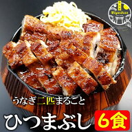 特大うなぎ まるごと 二匹 ひつまぶし 6食 無添加 冷凍 母の日 ギフト のし対応 化粧箱入り 鹿児島県産 …
