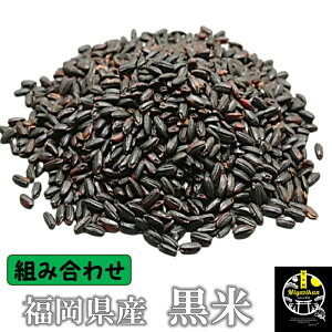 Y  300g gݍ킹p Piwo܂ K{iƓɂwB