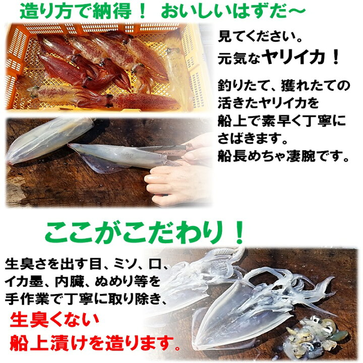 楽天市場 送料無料 ヤリイカ船上漬け 12パック 冷凍 ギフト 化粧箱入り のし対応 あす楽 即日発送 お取り寄せグルメ 沖漬け 無添加 手造り 高級 おつまみ 刺身贈り物 ご贈答 お持たせ プレゼント いか イカ 烏賊 槍イカ イカ刺し 炙り焼き 卵かけごはん 福岡 宮地館