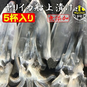 CJ DЂ 5t Y Ⓚ ̂Ή Ε Mtg ϔ  E 葢 Ђ  ܂ hg  G CJ G CJ CJ  1{ނ葡蕨 