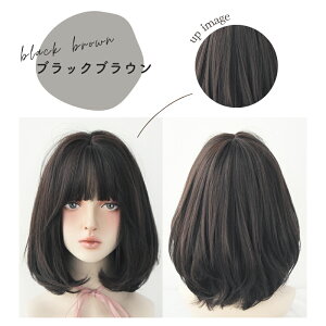 EBbO tEBbO C[ ~fBA J[ R t@bVEBbO GNXe  ~hwA   fB[X z ߗi wg38sut