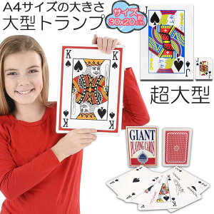 gv rbN gv ^ 傫 A4TCY gv gvJ[h   Vlz[ NG[V i oo x 唗 