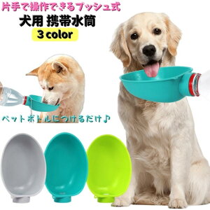 p gѐ {g ybgEH[^[{g ybgpi UObY Lp  o ⋋ ^ o^ ݂₷ Xgbv