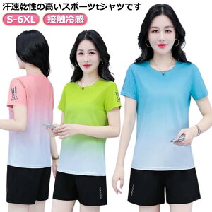 X|[cEFA z X|[cEFA  ڐG⊴ gbvX EFA fB[X W UVPA gbvX TVc  TVc Xgb`