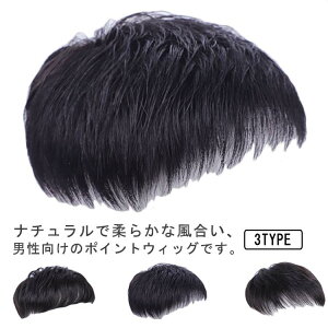 男性用 ウィッグ ショート丈 ポイントウィッグ メンズウィッグ 医療用 ブラック 短い 通気性 トップカバー蒸し暑くない 手植え 父の日 白髪隠し 脱