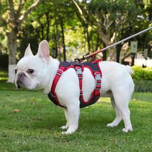  n[lX ^ ^ Č 킢  Ȃ ɂ S̏Ȃ EFAn[lX U Oo ʉ@ p p n