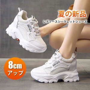 Xj[J[ fB[X y Cq[Xj[J[ fB[XXj[J[  V[NbgV[Y 8cm EH[LOV[Y r q[Abv q[ Cq[ Xj[J[ 