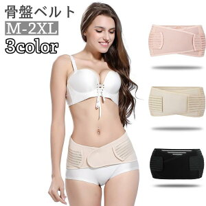 Ճxg fB[X }^jeB Y Օ␳ ␮  T|[g PA 傫TCY ʋC Dw  ̌^ێ Y㑾 }WbN