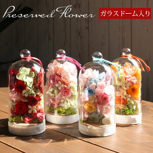 y|Cg3{ 10/30z vU[uht[ KXh[ KXP[X ̓ Mtg AW  킢 v[g o AWTC z ̂܂܏ CeA j a