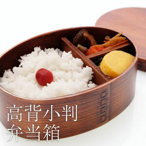 丼 弁当箱 大容量の人気商品 通販 価格比較 価格 Com