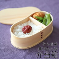 ＼半額アウトレット／【50％OFF】【さらに5%OFFクーポン有】 お弁当箱 曲げわっぱ そら豆型 弁当箱 白木 …