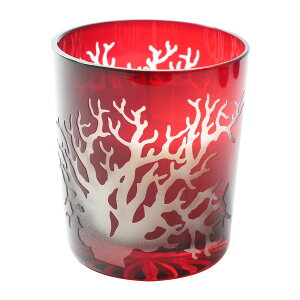 JbgOX \CLh A} CeA v[g Mtg   N[[V 